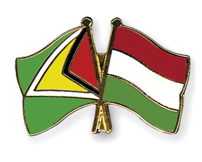 Fahnen Pins Guyana Ungarn