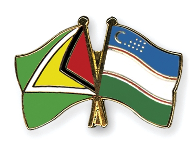 Fahnen Pins Guyana Usbekistan