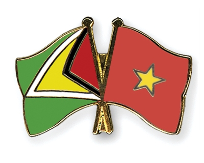Fahnen Pins Guyana Vietnam