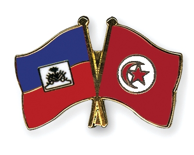Fahnen Pins Haiti Tunesien
