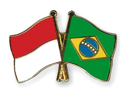Fahnen Pins Indonesien Brasilien