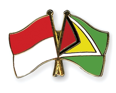 Fahnen Pins Indonesien Guyana