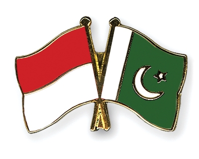 Fahnen Pins Indonesien Pakistan