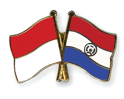 Fahnen Pins Indonesien Paraguay