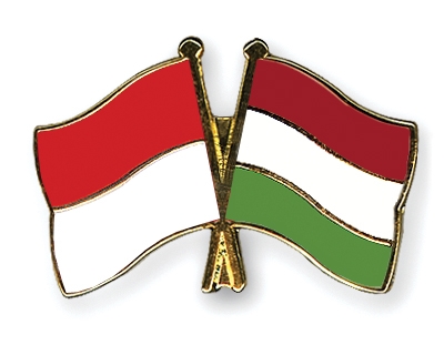 Fahnen Pins Indonesien Ungarn
