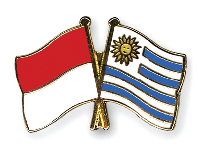 Fahnen Pins Indonesien Uruguay
