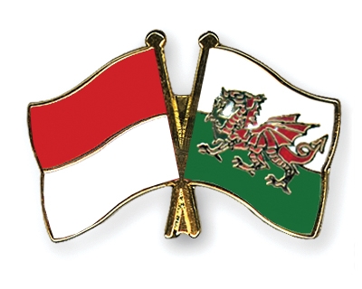 Fahnen Pins Indonesien Wales