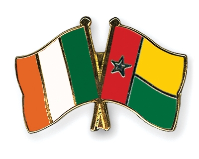 Fahnen Pins Irland Guinea-Bissau