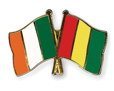 Fahnen Pins Irland Guinea