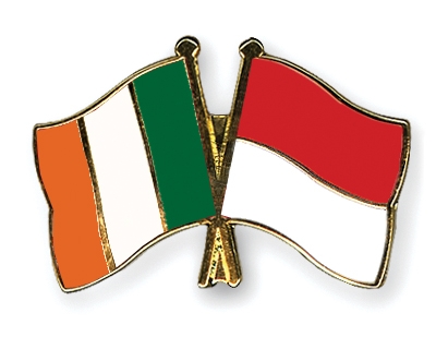 Fahnen Pins Irland Indonesien