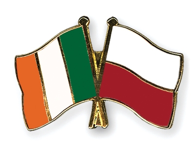 Fahnen Pins Irland Polen