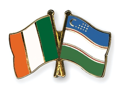 Fahnen Pins Irland Usbekistan