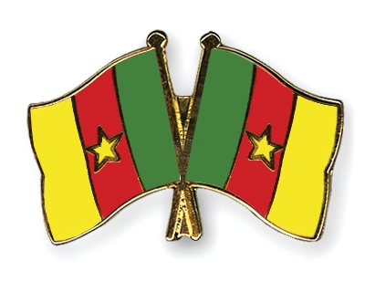 Fahnen Pins Kamerun Kamerun