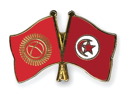 Fahnen Pins Kirgisistan Tunesien