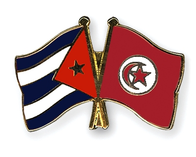 Fahnen Pins Kuba Tunesien