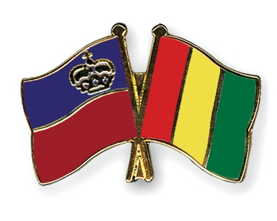 Fahnen Pins Liechtenstein Guinea