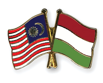 Fahnen Pins Malaysia Ungarn
