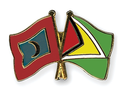 Fahnen Pins Malediven Guyana