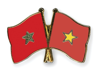Fahnen Pins Marokko Vietnam