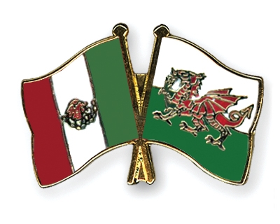Fahnen Pins Mexiko Wales