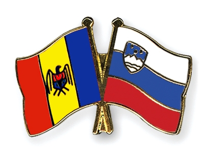 Fahnen Pins Moldau Slowenien