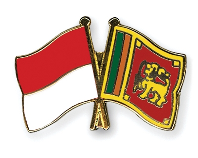 Fahnen Pins Monaco Sri-Lanka