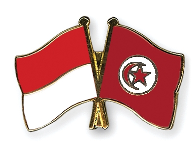 Fahnen Pins Monaco Tunesien