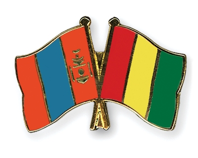 Fahnen Pins Mongolei Guinea