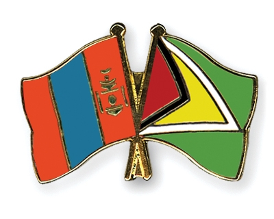 Fahnen Pins Mongolei Guyana