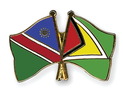 Fahnen Pins Namibia Guyana