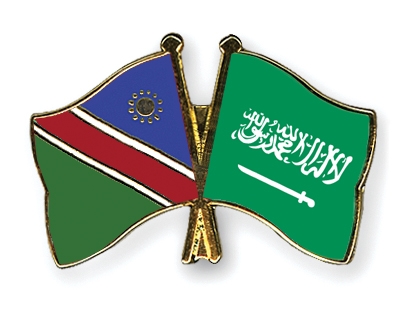 Fahnen Pins Namibia Saudi-Arabien