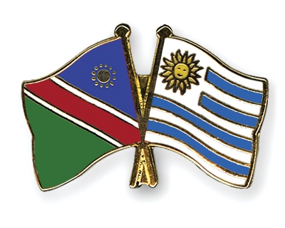 Fahnen Pins Namibia Uruguay