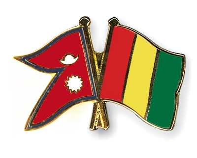 Fahnen Pins Nepal Guinea