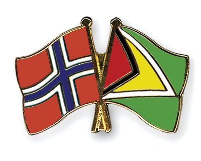 Fahnen Pins Norwegen Guyana