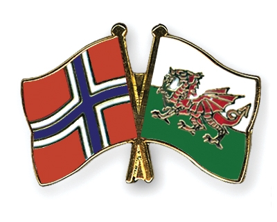 Fahnen Pins Norwegen Wales