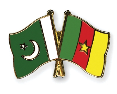 Fahnen Pins Pakistan Kamerun