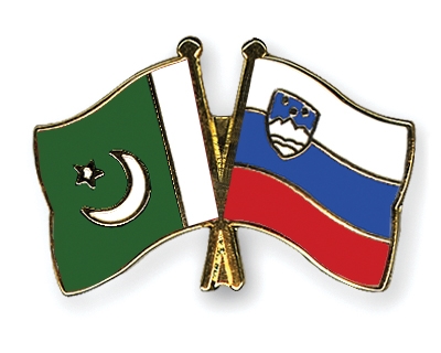 Fahnen Pins Pakistan Slowenien