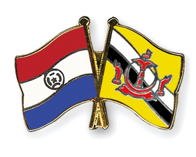 Fahnen Pins Paraguay Brunei-Darussalam