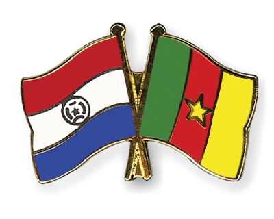 Fahnen Pins Paraguay Kamerun