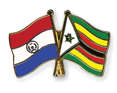 Fahnen Pins Paraguay Simbabwe