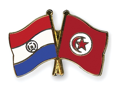 Fahnen Pins Paraguay Tunesien