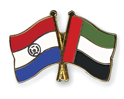 Fahnen Pins Paraguay Ver-Arab-Emirate