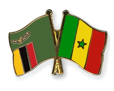 Fahnen Pins Sambia Senegal