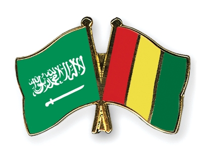 Fahnen Pins Saudi-Arabien Guinea