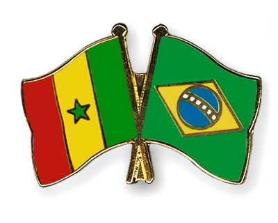 Fahnen Pins Senegal Brasilien