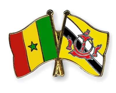 Fahnen Pins Senegal Brunei-Darussalam