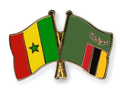 Fahnen Pins Senegal Sambia