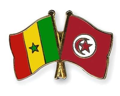 Fahnen Pins Senegal Tunesien