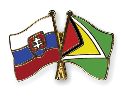 Fahnen Pins Slowakei Guyana
