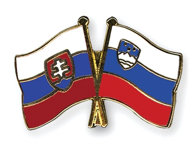 Fahnen Pins Slowakei Slowenien